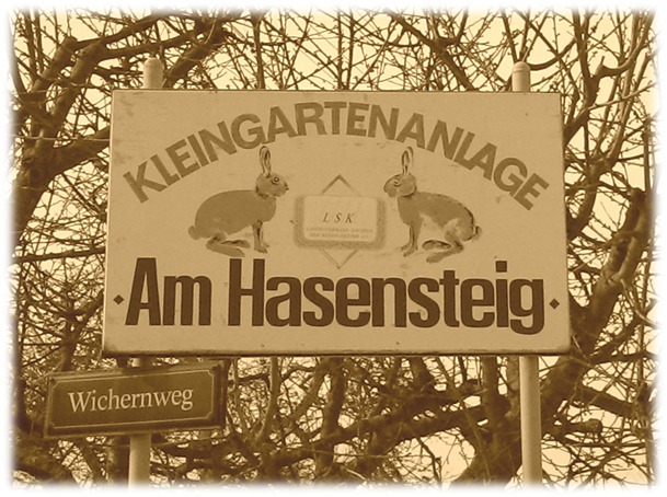 Hasensteig